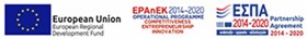 EPAnEK
